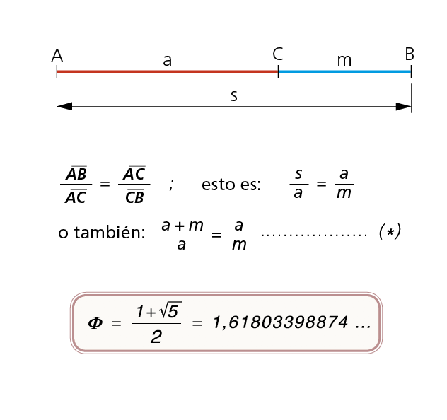 PROPORCION AUREA